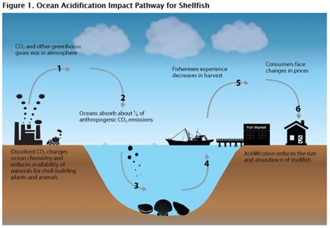 how are co2 emissions effecting the quality of life